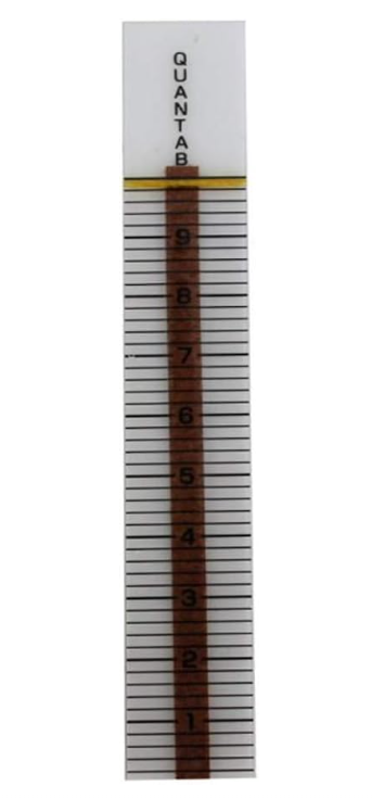 AquaChek 561141-02 Salt Water Test Strips for Swimming Pools, 10-Count, 2-Pack