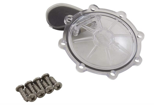 Pentair 263042Z 2-Inch 2-Way CPVC Check Valve Replacement Kit Diverter Pool and Spa Valve
