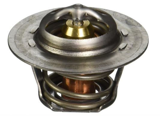 Raypak 006719F Unitherm Governor Capron